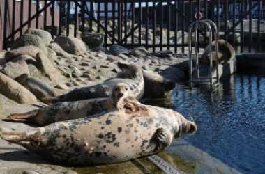 wycieczka fakultatywna